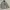Vintage Pea Coat Pria Gray