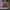 Liverpool 3rd 2020 Player Issue size XL photo 1