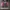 Liverpool 3rd 2020 Player Issue Size XL