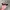 Vtg Oakley Jupiter Squared Sunglasses  photo 2
