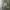 Sportswear Casual Jersey Pria gray photo 3