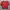 Jaket Merah Nevada photo 1
