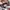 vans sk8 low photo 6