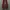 vans sk8 low photo 5