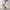 AIR JORDAN 1 LOW TRAVIS SCOTT REVERSE MOCHA photo 8