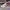 AIR JORDAN 1 MID PAST PRESENT FUTURE photo 1