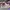 AIR JORDAN 1 MID PAST PRESENT FUTURE photo 3