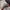 AIR JORDAN 1 MID PAST PRESENT FUTURE photo 6