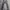 Nudie jeans Tight long JHON ORG Charcoal  photo 7