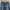 Vintage Big Train Japanese Wave Embroidered Denim  photo 3
