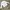 Guess Crewneck  photo 2