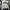Hoodie holephoria photo 1