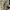 Skechers Casual Sportswear Footwear Kids gray photo 2