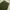 Japanese brand Y2K Casual Casual pants Pria green photo 5