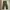 Japanese brand Y2K Casual Casual pants Pria green photo 4