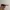Oakley Gorpcore Sunglass Pria orange photo 2