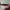 Oakley Gorpcore Sunglass Pria orange photo 6