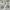 acne studios skin 5 mint green skinny jeans denim pants photo 4
