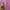 iphone 6 photo 8