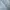 Casual Short Pria white photo 5