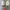 NIKE x STUSSY AIR ZOOM SPIRIDON FOSSIL SIZE 43 (27,5 CM) photo 5