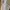 Coquette Prom Babydoll Dresses photo 2
