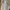 Coquette Prom Babydoll Dresses