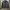Jacket Harrington WoodHouse