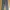 Longpants Dickies photo 1