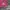 Piko Sports Streetwear Y2K Hoody Pria burgundy photo 8