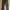 Longpants Dickies 874 photo 1