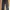 Longpants Dickies 874