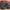Nike tn airmax plus utility original ex footlocker photo 1