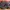 Nike Tn Airmax Plus Utility Original Ex Footlocker