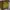 Hush puppies, Evelyn satchel in yellow photo 1