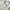 Japanese brand Luxury Pria multicolor photo 2
