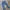 Levi's Regullar Jeans