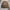 Trucker jacket kanvas photo 7