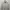 Heattech High Neck Uniqlo