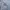 GAP GREY HOODIE photo 1