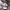 “Urban Legend T-Shirt - White Edition” (Gives An Exclusive A