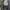 Lyle & Scott Vintage Casual Track jacket Pria gray photo 6