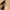 Zara Mesh Bow Heels 38 photo 6