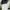 Baju golf w angle photo 1