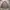 Trady work jacket photo 6
