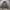 Trady work jacket photo 5