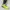 THE NORTH FACE GORETEX HIKING SHOES SIZE 44 photo 7