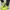 THE NORTH FACE GORETEX HIKING SHOES SIZE 44 photo 3
