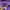 HOODIE FELTIC PURPLE photo 3