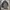 Fubu hunting jacket photo 4